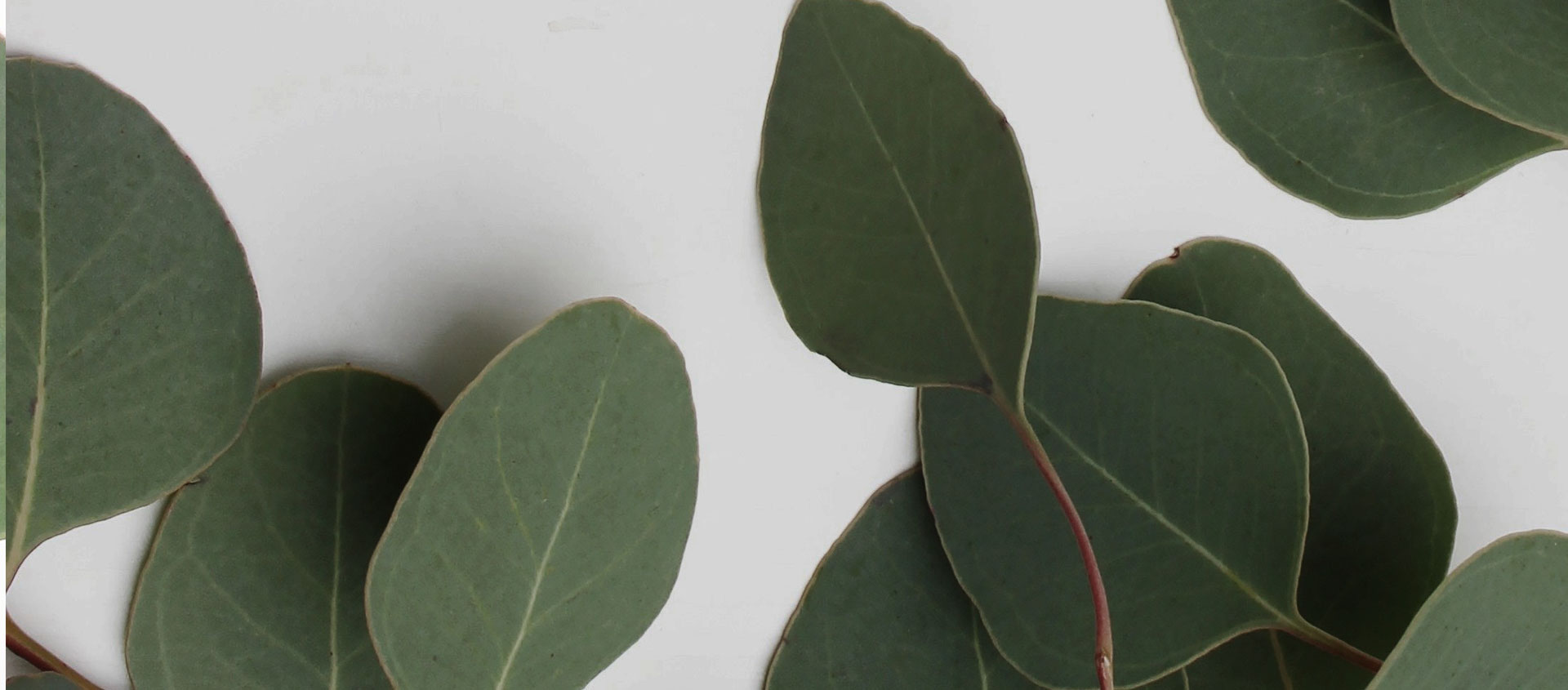 Взыскание ущерба от экологических правонарушений в Афипском